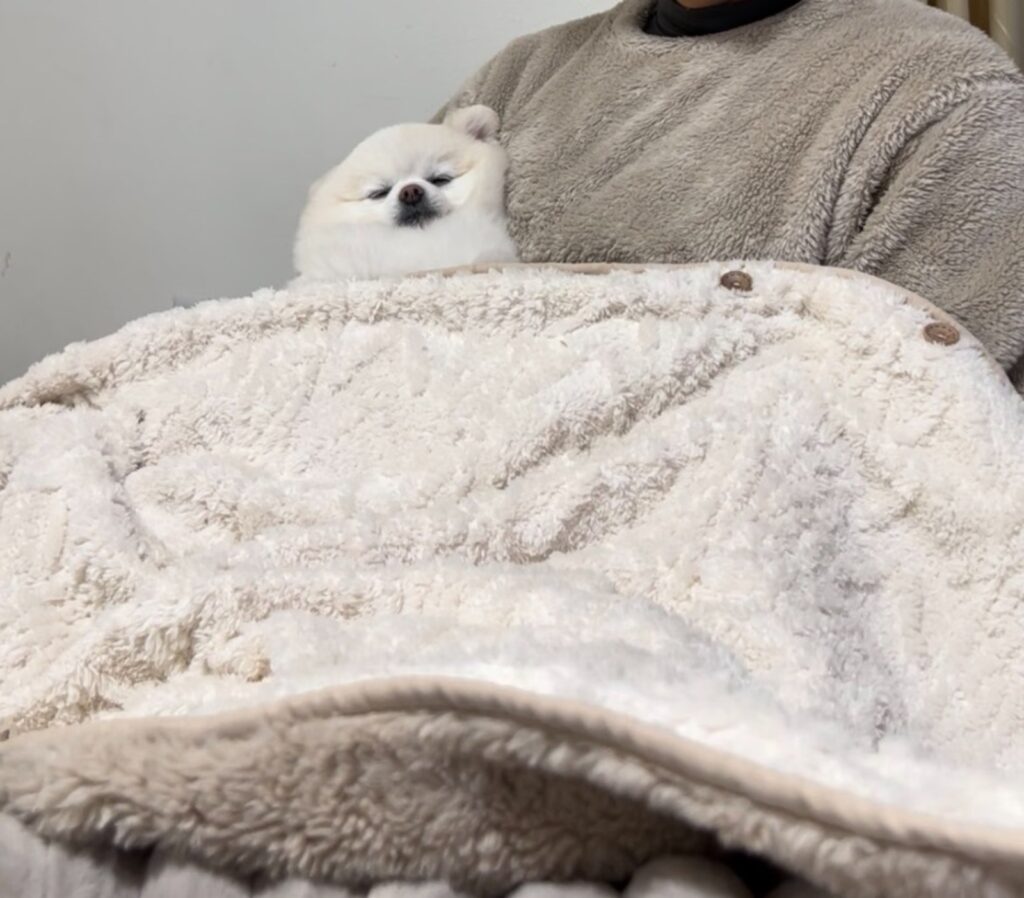 普段のぽんくん①（@boku_ponchanさんより提供）