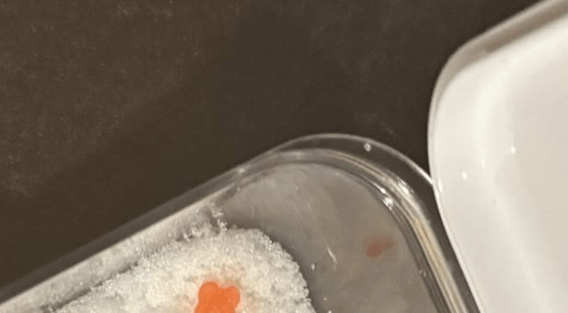 「その発想はなかった」間違えやすい塩と砂糖。見分けるために入れたモノに…「真似させてください」「天才」