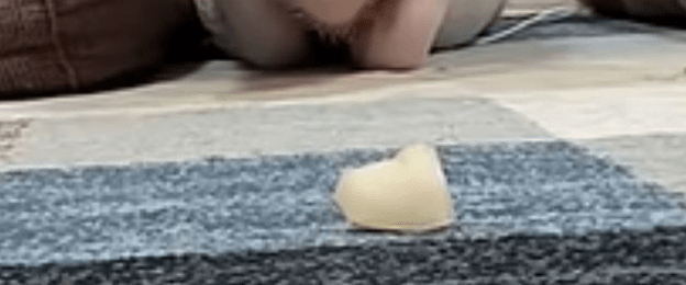 地面に置かれた一口サイズのフルーツ。よ～～く見ていると…5秒後”まさかの光景”に「頑張ってほしい」「本当にえらい」