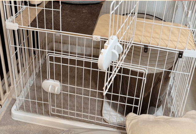 「現行犯逮捕です」愛猫のケージに違和感…。よく見ると、中にいたまさかの侵入者に「わぉ！やるぅ笑」「やめてください！」