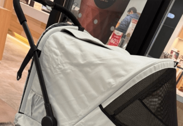 ペットカートに乗せたはずのハスキー犬に違和感。「まさか」と思いよく見ると…予想外の事件に「3度見しちゃいそう」「衝撃的」