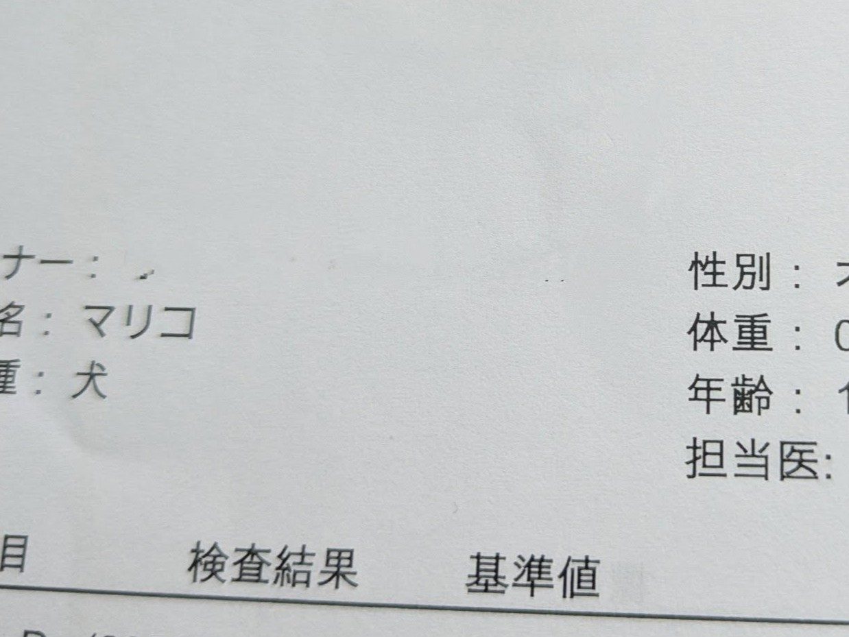 獣医「良い結果でした」愛犬の“血液検査結果”に違和感。よく見ると…バケモノ級な診断結果に「ツボww」「爆笑しちゃった」「ショック！」