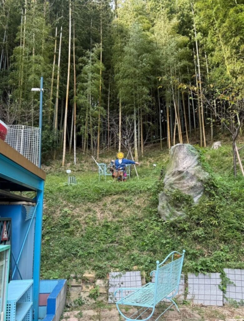 【実際の写真】パパさんが撮った1枚