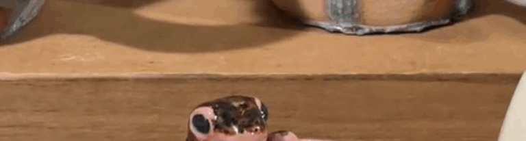 陶芸家の父にマグカップをリクエスト　→その後…”まさかの完成品”に「これは可愛すぎる」「欲しい！」「すごい好き」