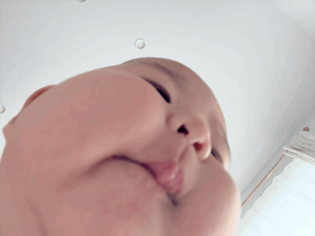 可愛い大福のようなお顔が！（＠matsuko_514さんより提供）