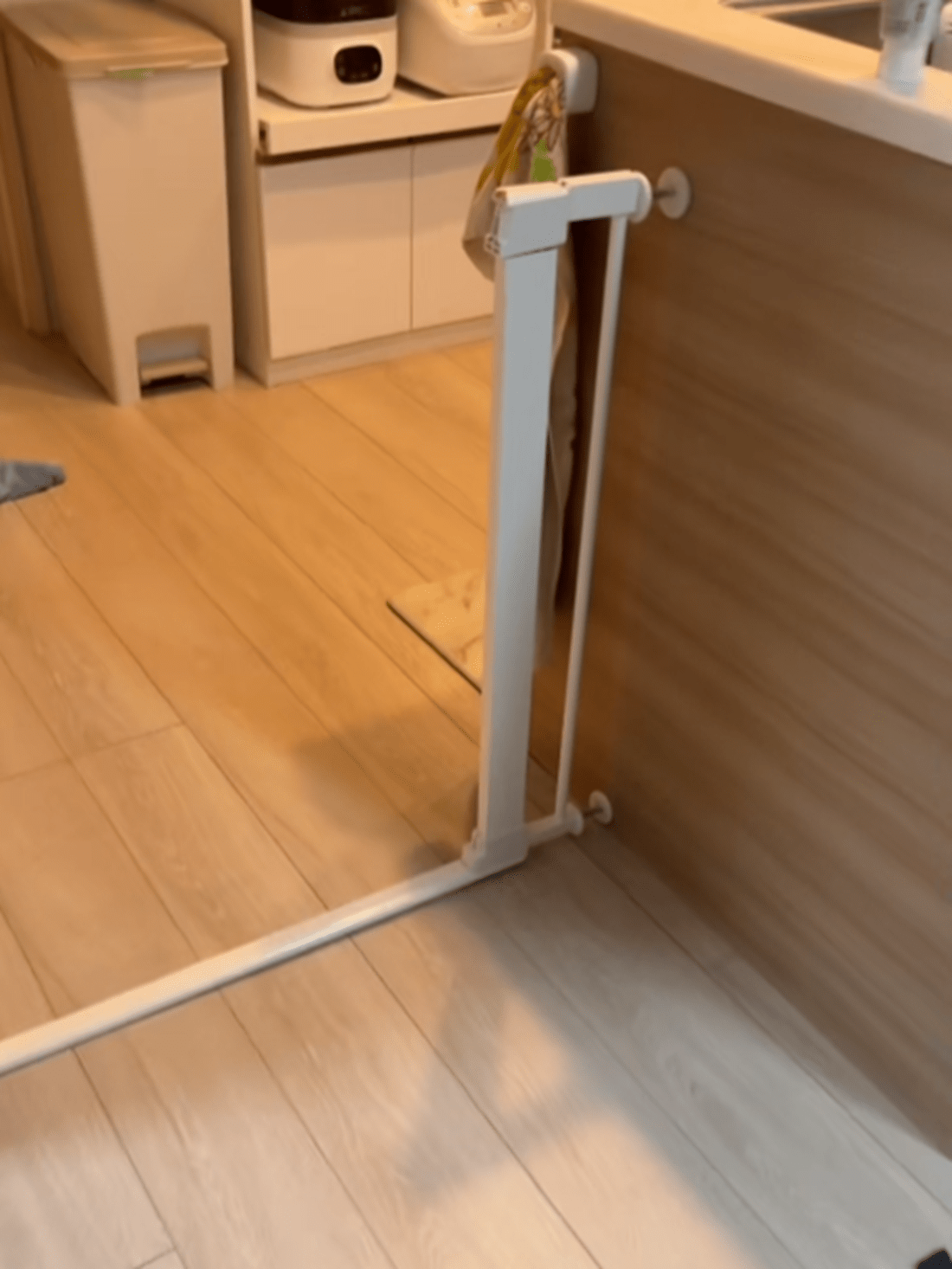 リビングにいた女性「あれ…」キッチンからの物音に違和感。→”衝撃的すぎる光景”に「こんなん見たら絶対怒れない」「頭いいな笑」「準備万端」