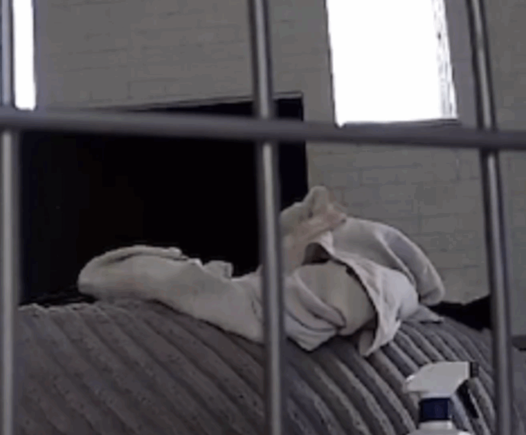 【実際の写真】投稿者さんが見た光景