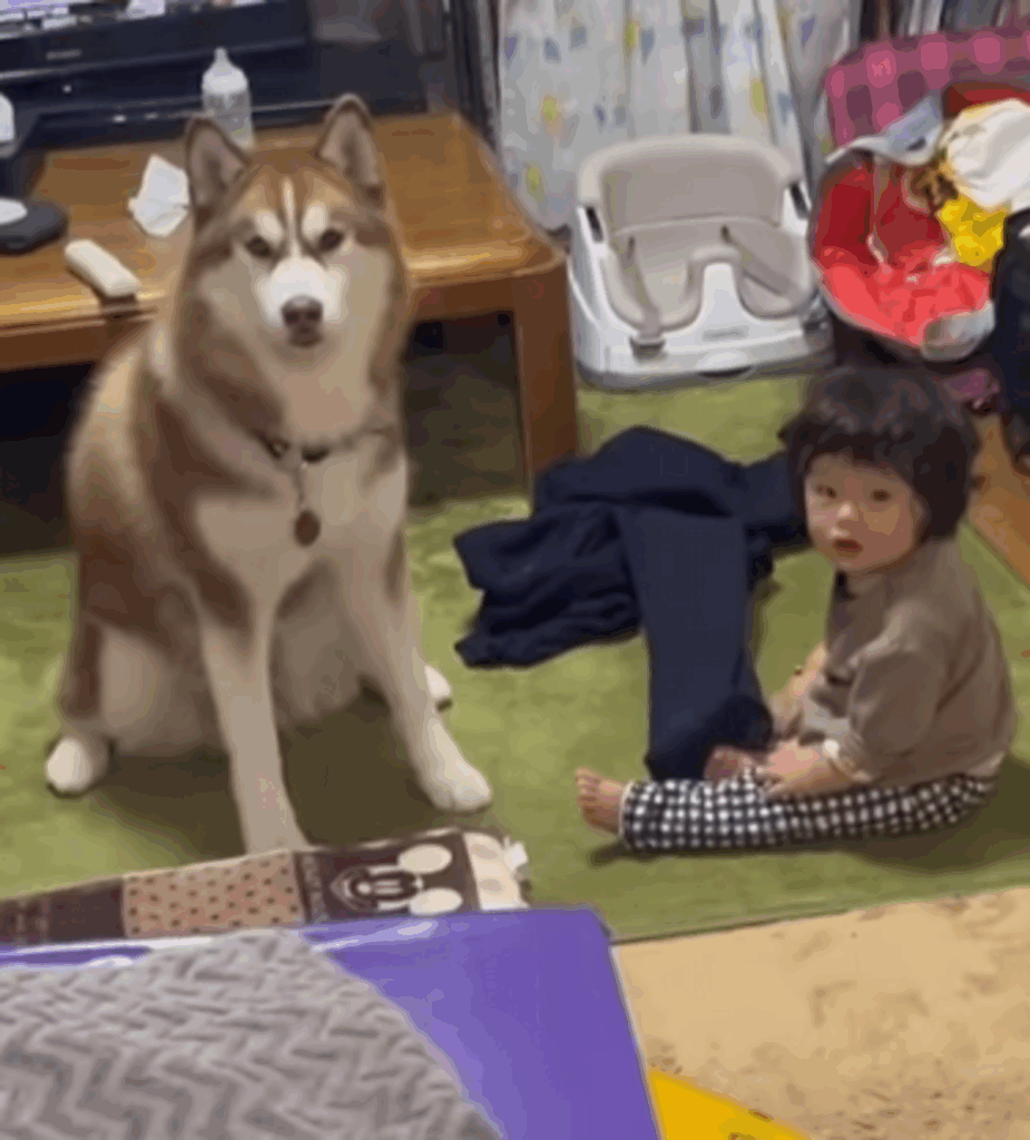 おばあちゃんに怒られて固まるふたり（@luca.0823さんより提供）