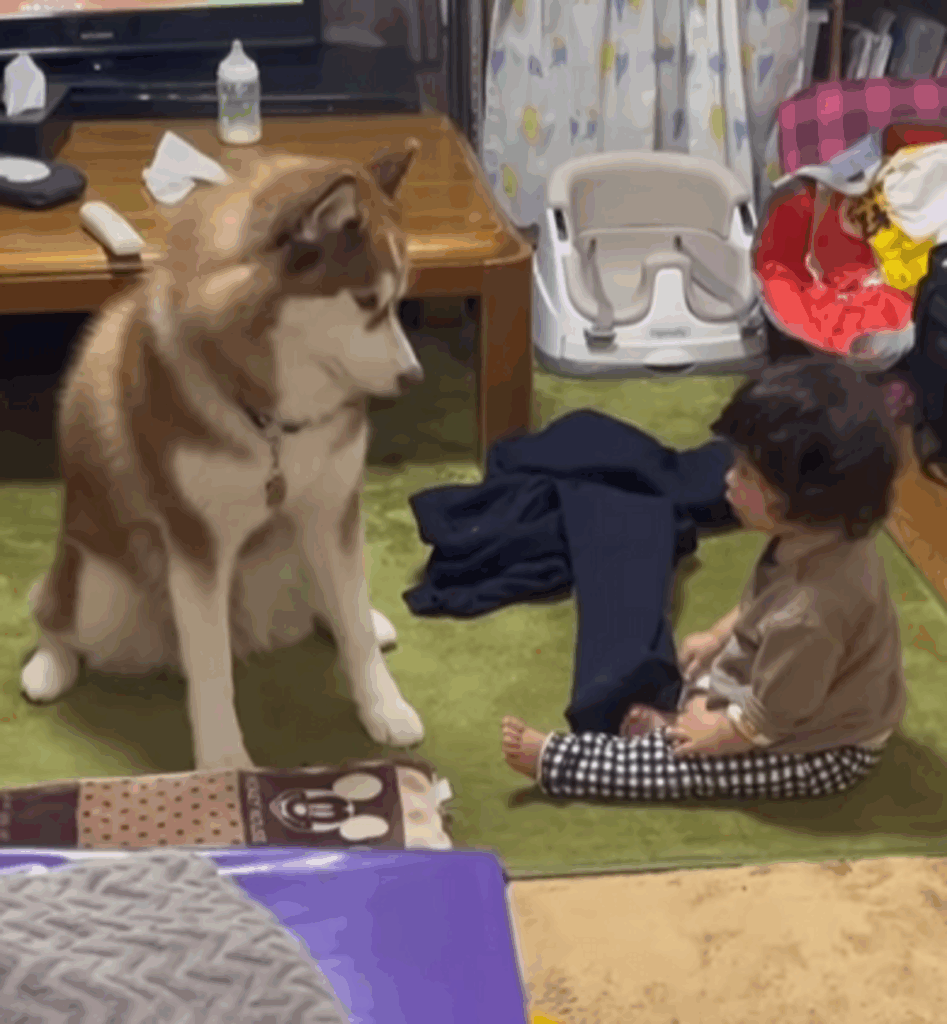 思わず顔を見合わせてしまうふたり（@luca.0823さんより提供）