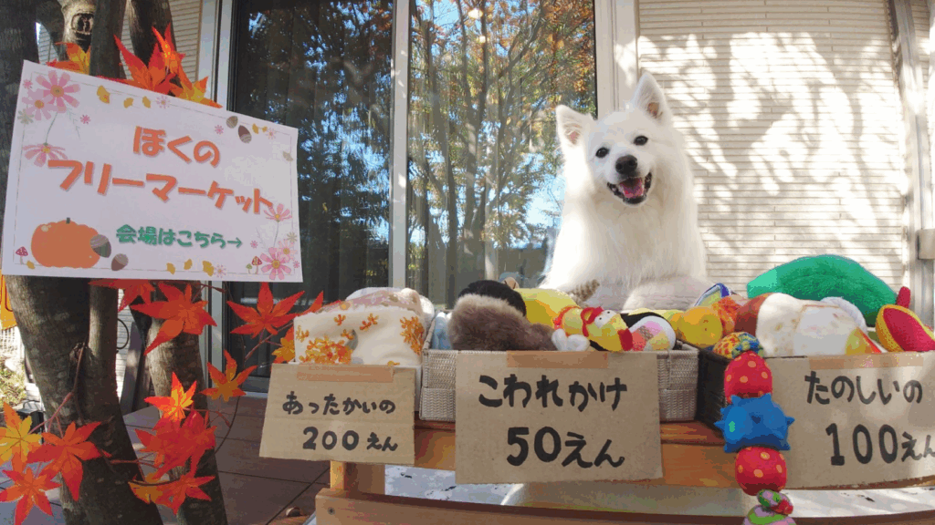 フリーマーケット開催中（@kukuri_shibainuさんより提供）