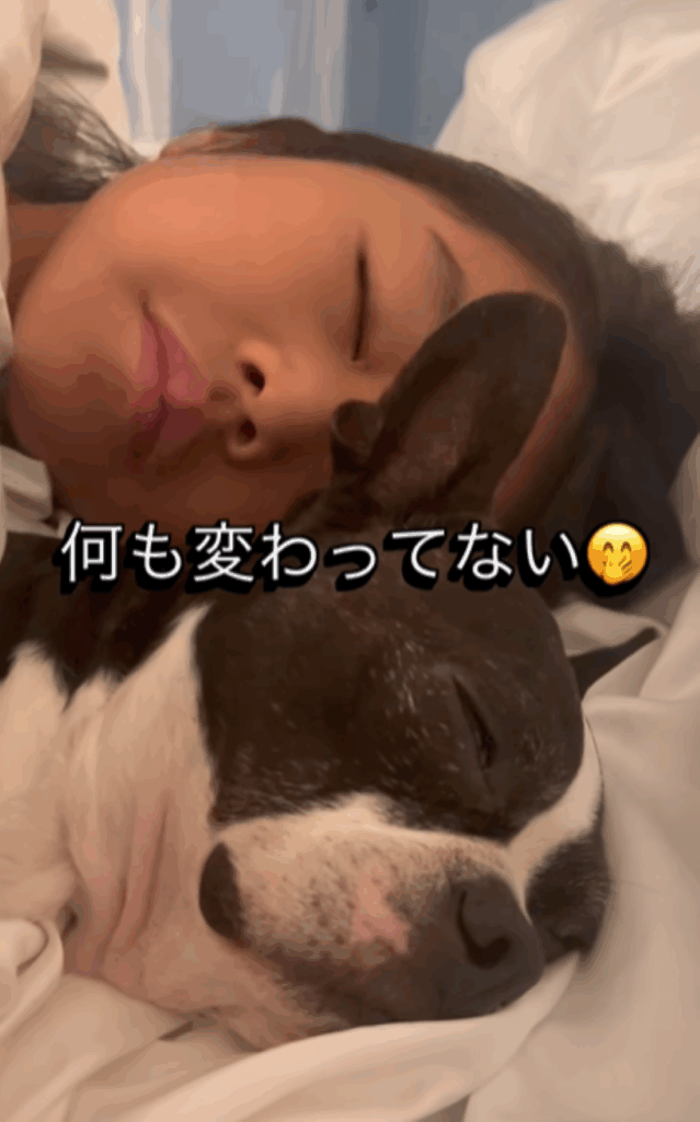 8年後も変わらない2人（＠0419boston_1105chihuahuaさんより提供）