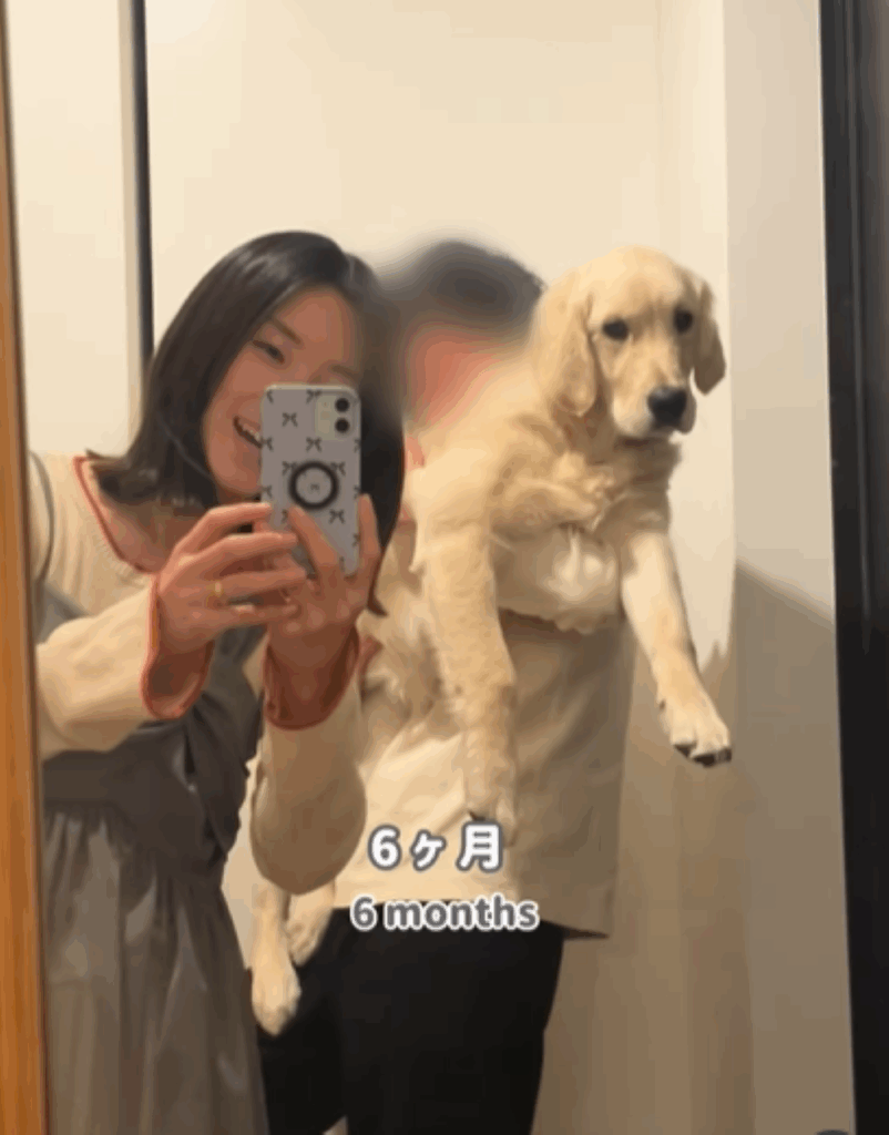 【実際の写真】現在の家族の様子