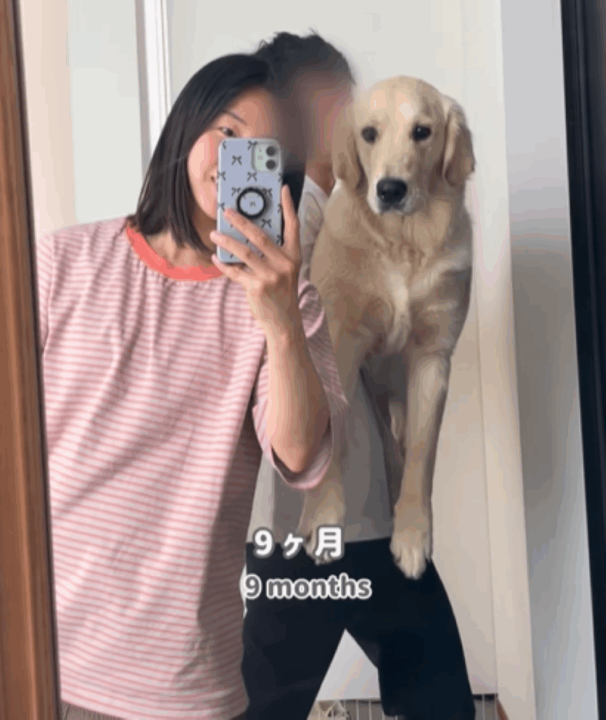 生後9ヶ月の小町ちゃん（＠__liii.ch__
さんより提供）