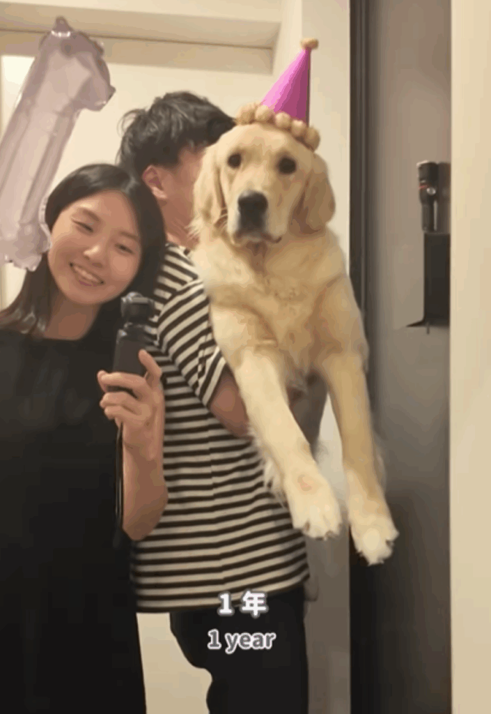 1歳になった小町ちゃん（＠__liii.ch__
さんより提供）