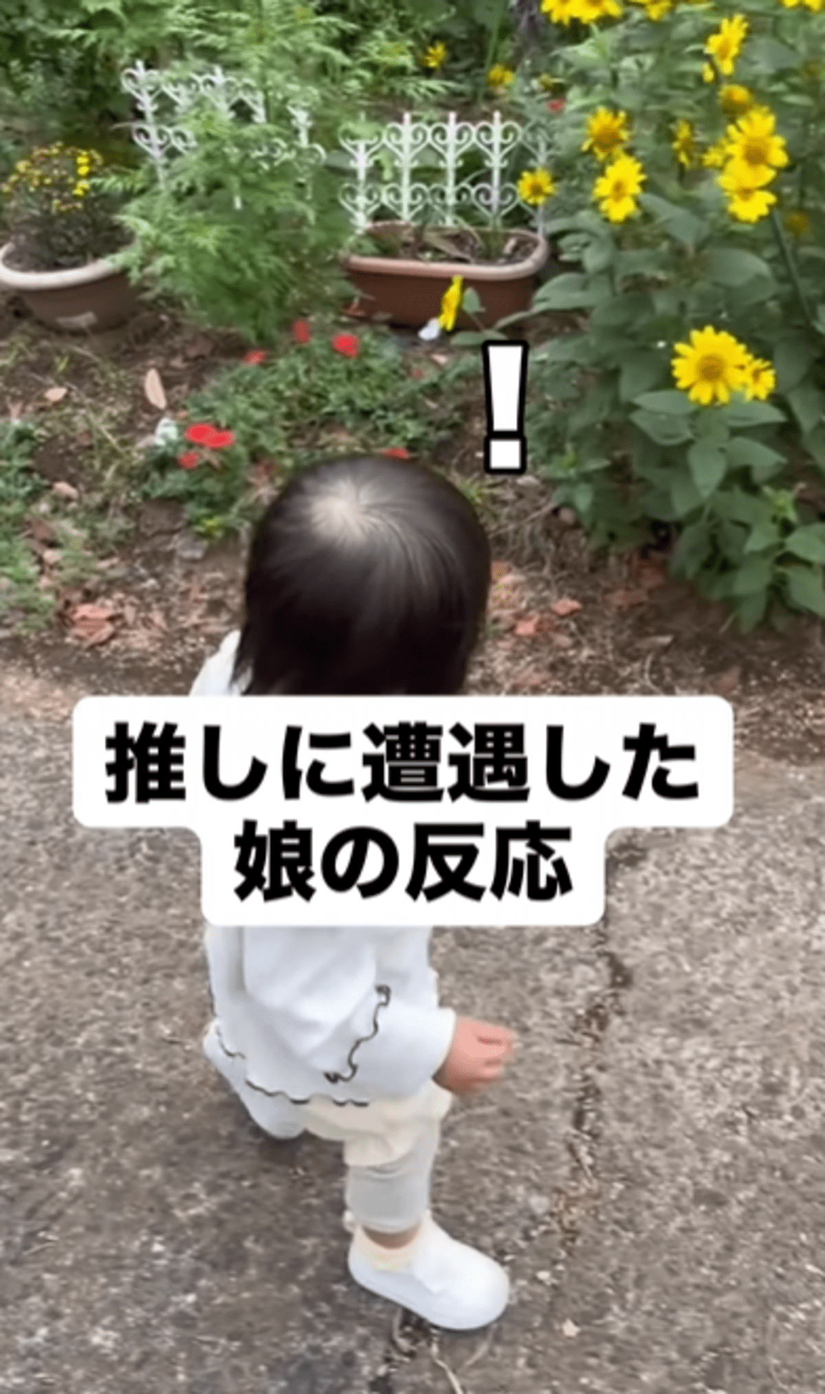 推しに遭遇した1歳娘にママ「触ってみたら？」→可愛すぎる一部始終に「天使」「言葉が出ない」「何回みたのかわからんくらい見た」