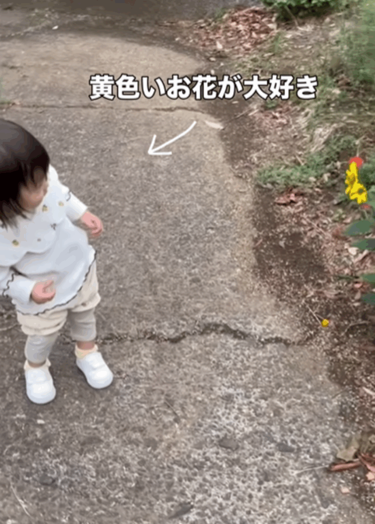 【実際の写真】推しとのふれあい