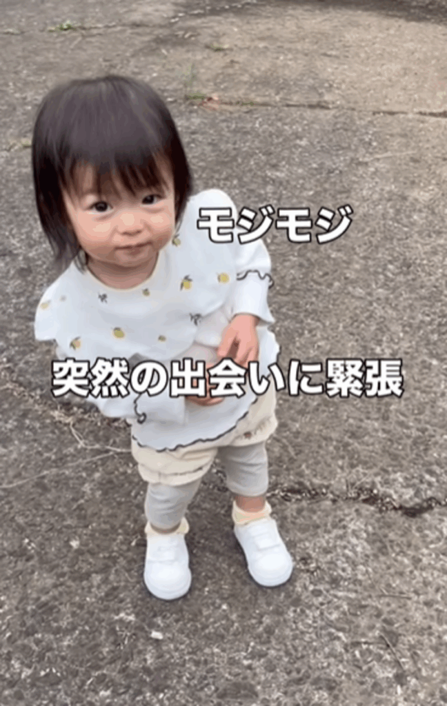 突然の出会いに…！？（@uiuichan05さんより提供）