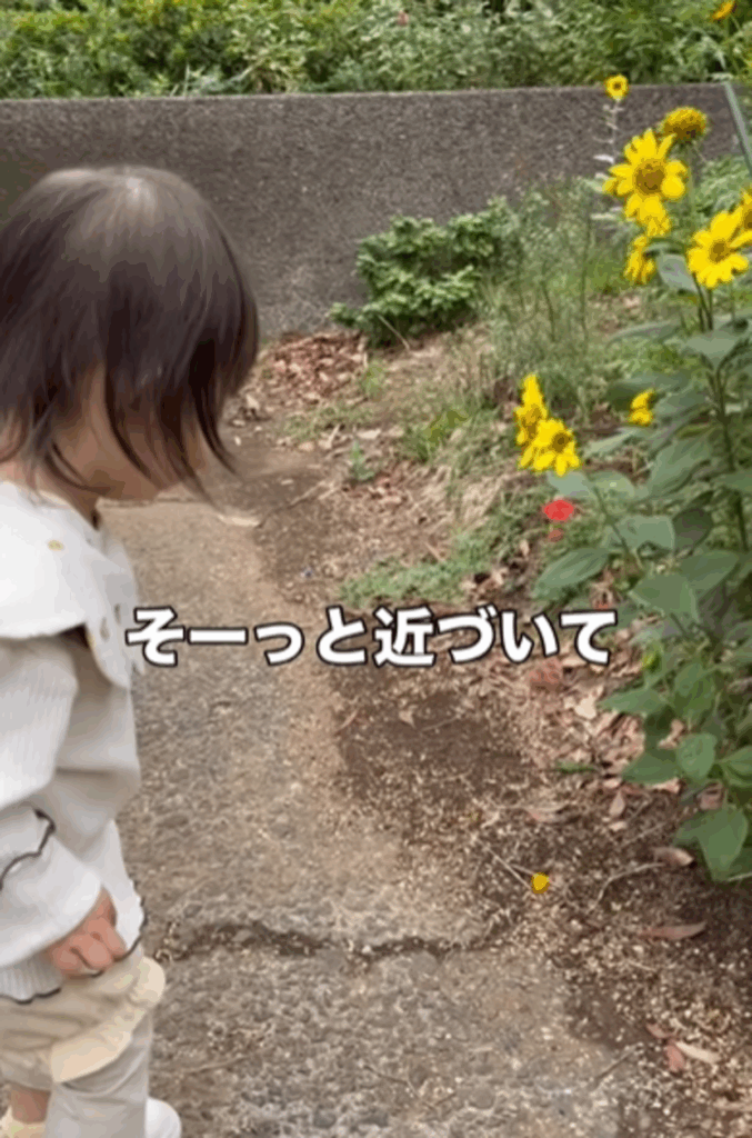 そーっと近づいて…（@uiuichan05さんより提供）