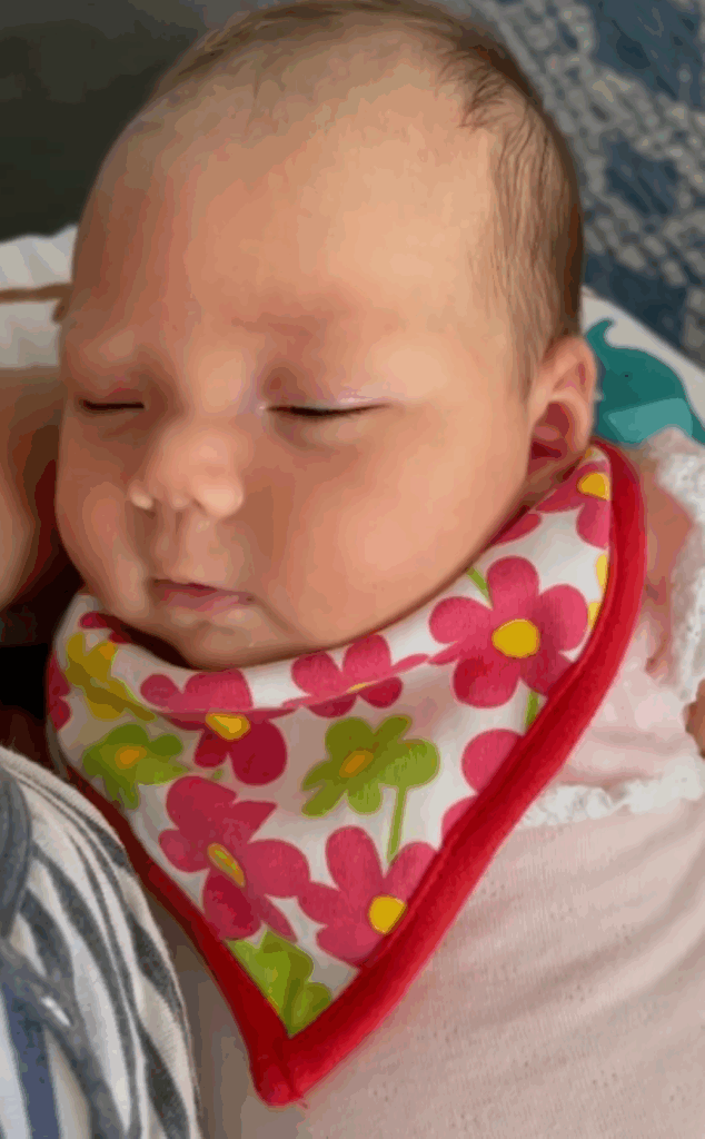 【実際の写真】現在の姿