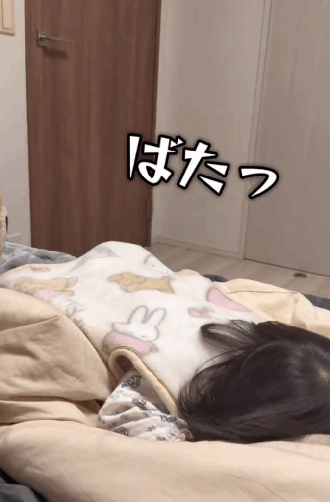 普段の娘さん②（＠hihiponzuuさんより提供）