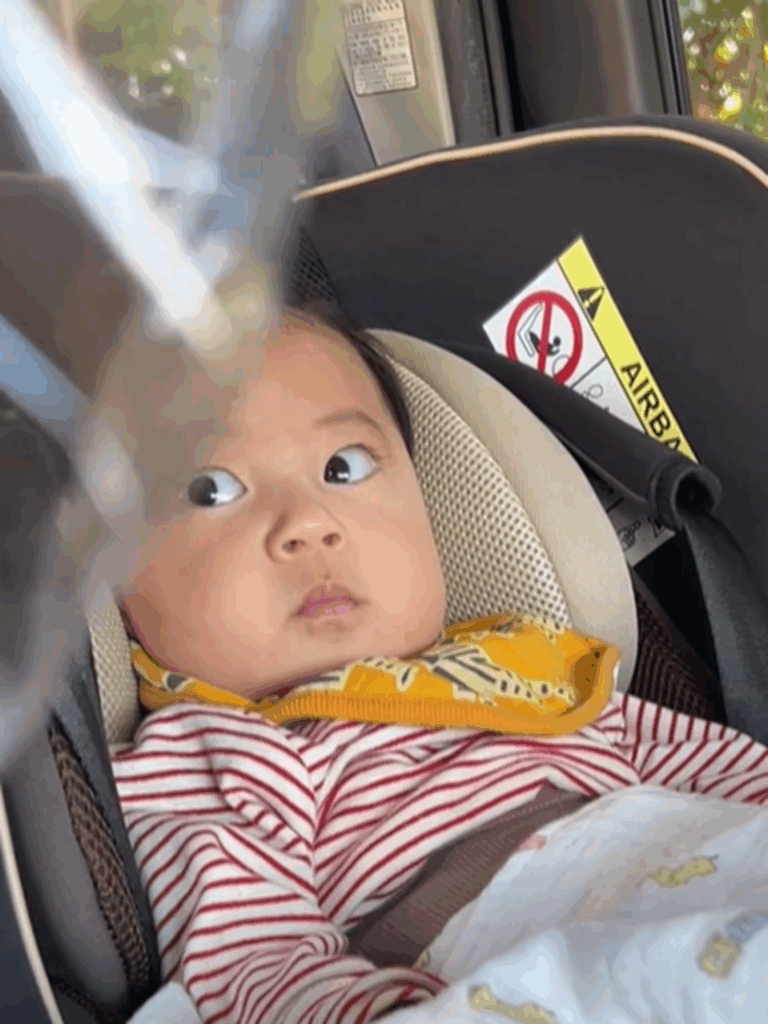 【実際の写真】視線の先にあったモノ