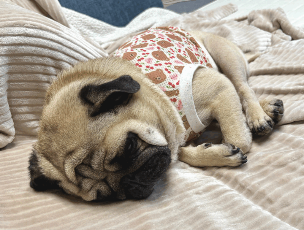 【実際の写真】投稿者さんが見た光景