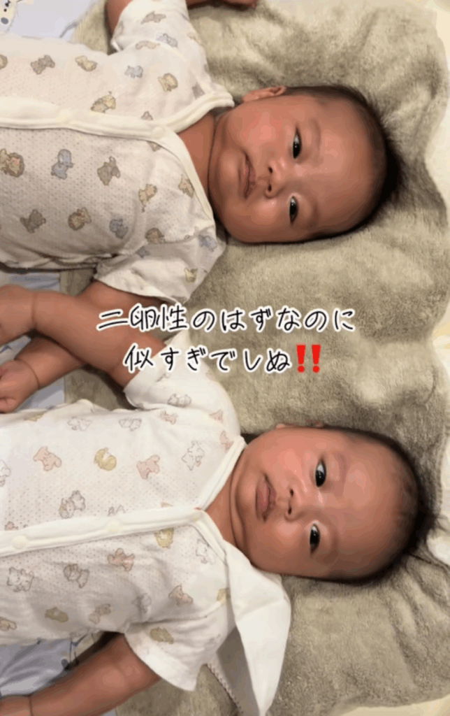 【実際の写真】3ヶ月後の姿