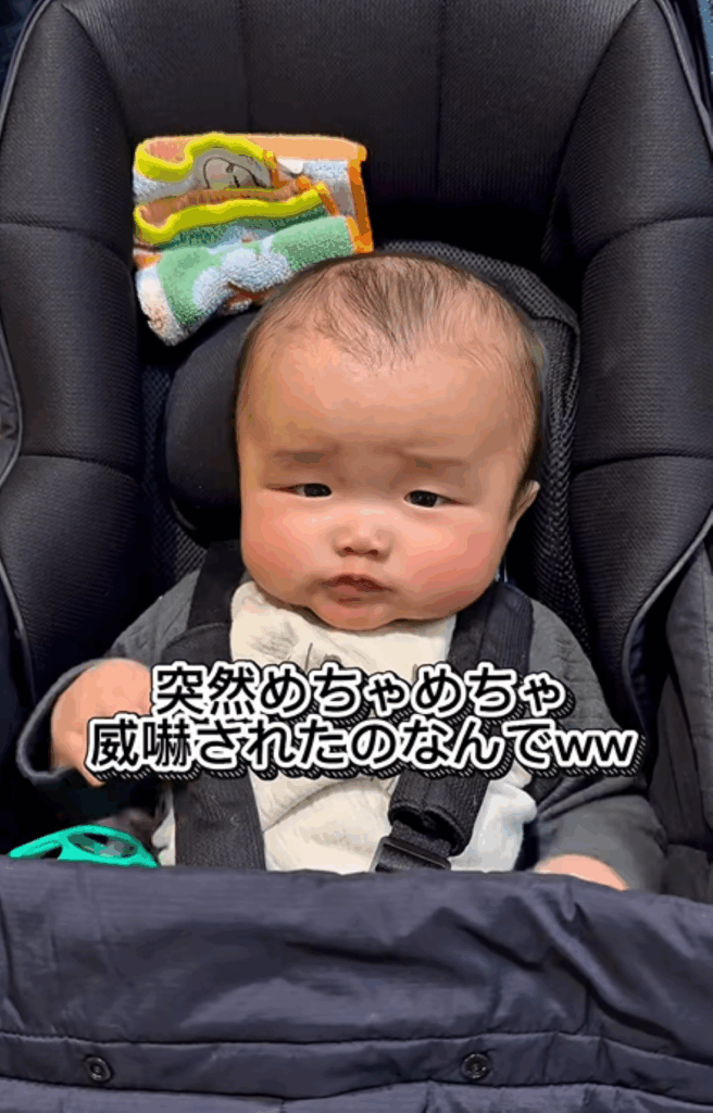 カメラを向ける前（＠lalachan.rrさんより提供）