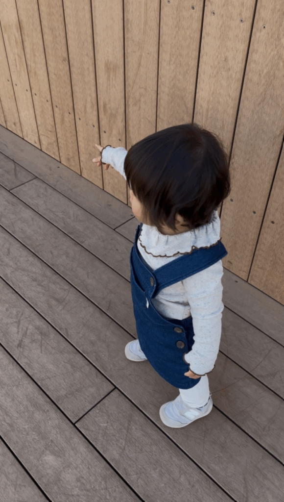 【実際の写真】娘さんが見ていたもの