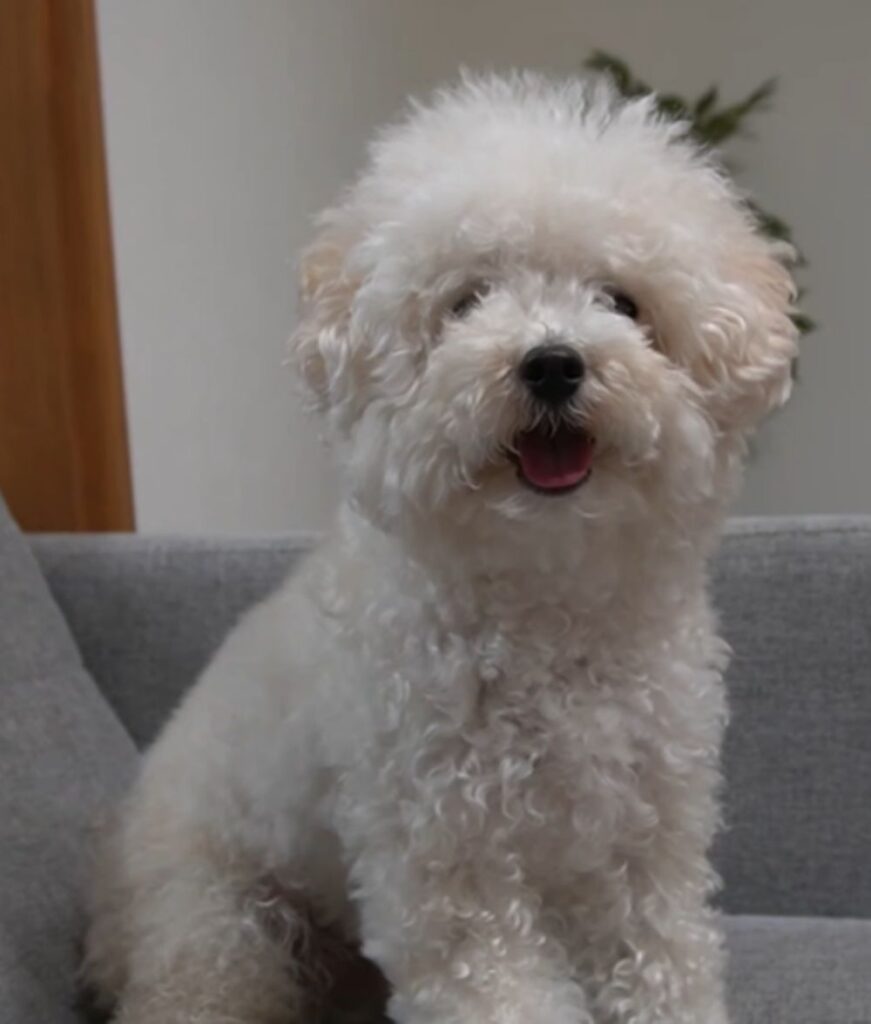 【実際の写真】かわいらしい出来事