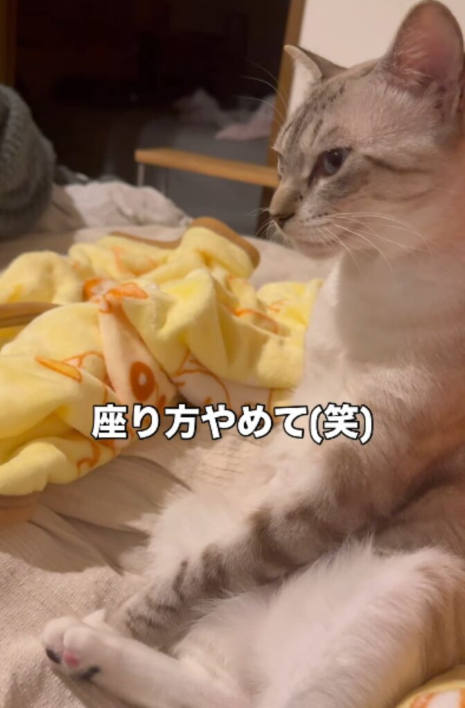 人間のような座り方（＠lukaluka_journalさんより提供）