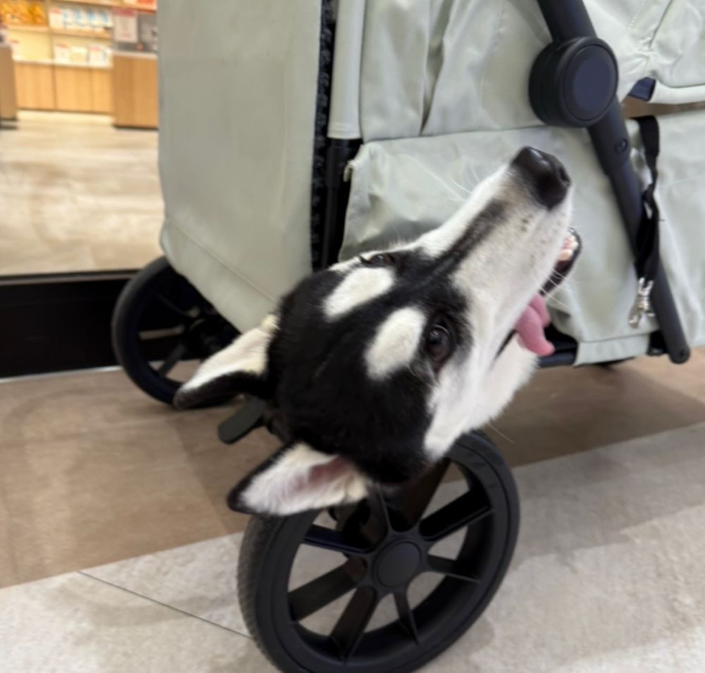 まさかの場所から…（＠1059ju_chanさんより提供）