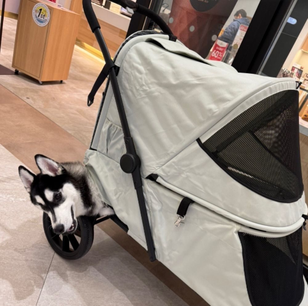 【実際の写真】投稿者さんが見た光景