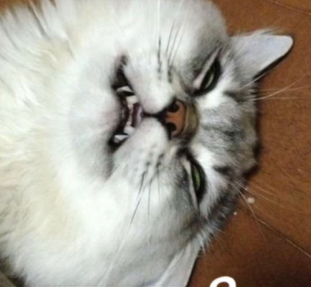 5年後の姿①（＠mikoto7125さんより提供）