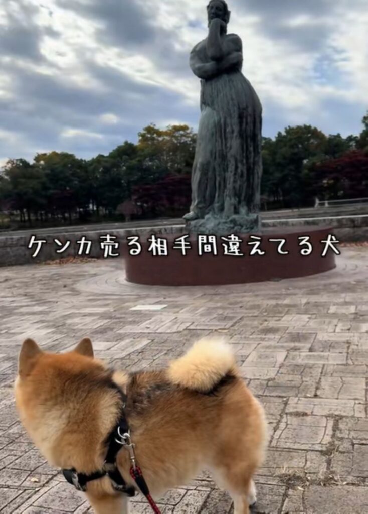 警戒を続けるあずきちゃん（＠azuki_0423さんより提供）