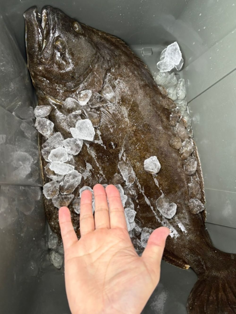 隣に住むおじいさんに魚をお裾分けすると…「お宅の分も」まさかのお礼に「最高のおじいさん」「隣に引っ越したい」