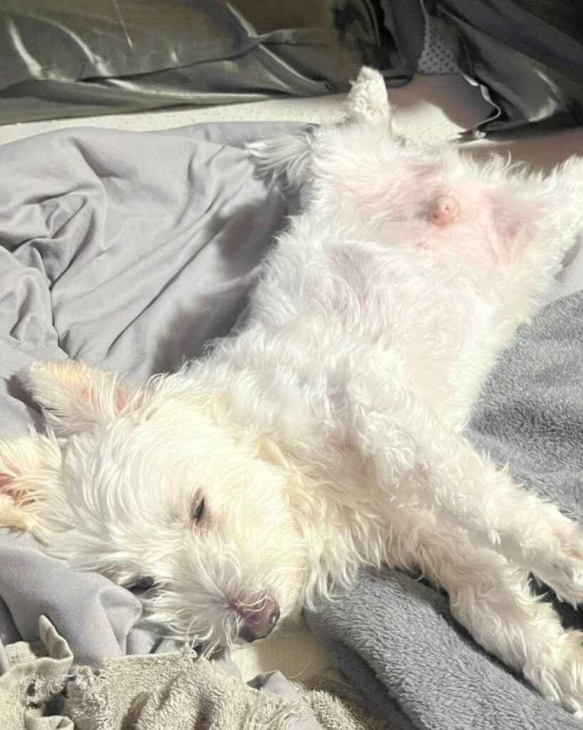 【実際の写真】足元を見た結果