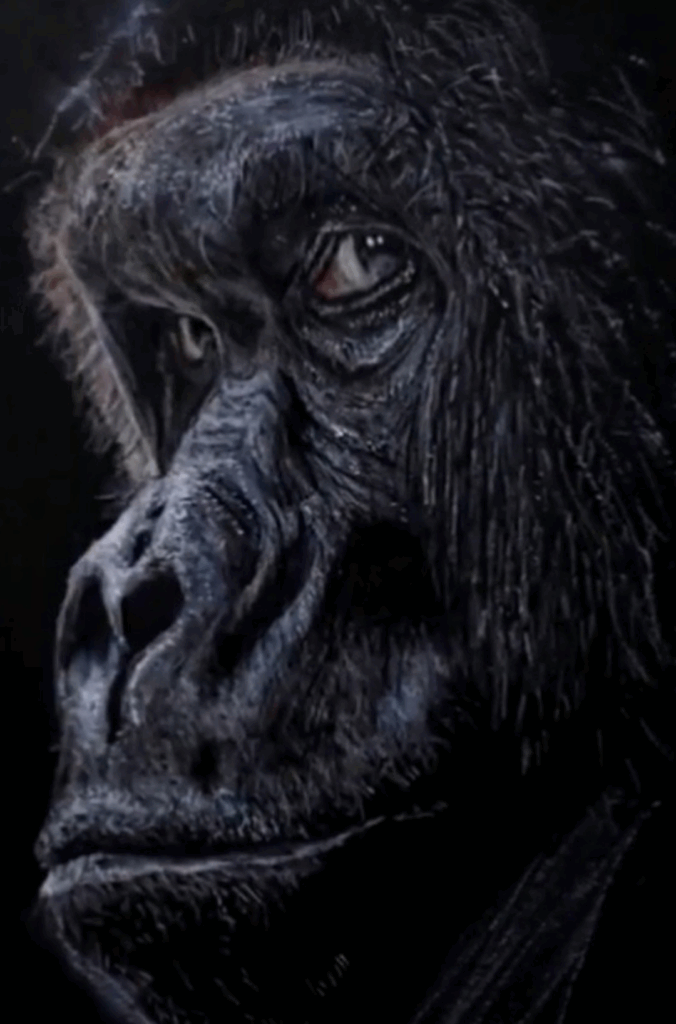 他の色鉛筆作品②（そんな感じさんより提供）