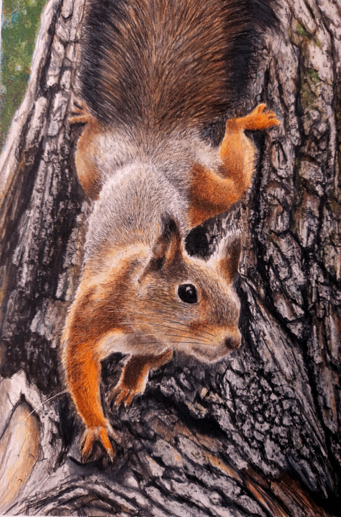 他の色鉛筆作品③（そんな感じさんより提供）