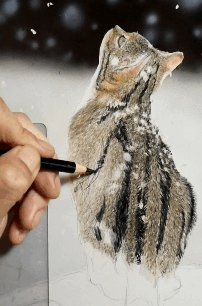 【実際の写真】8時間かけて色鉛筆で描いた猫の絵