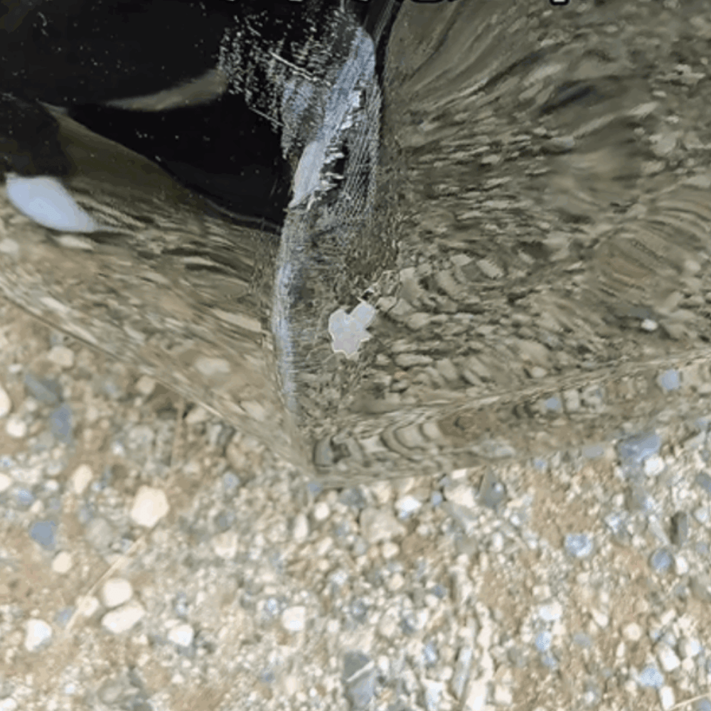 【実際の写真5枚】　妻が見た光景