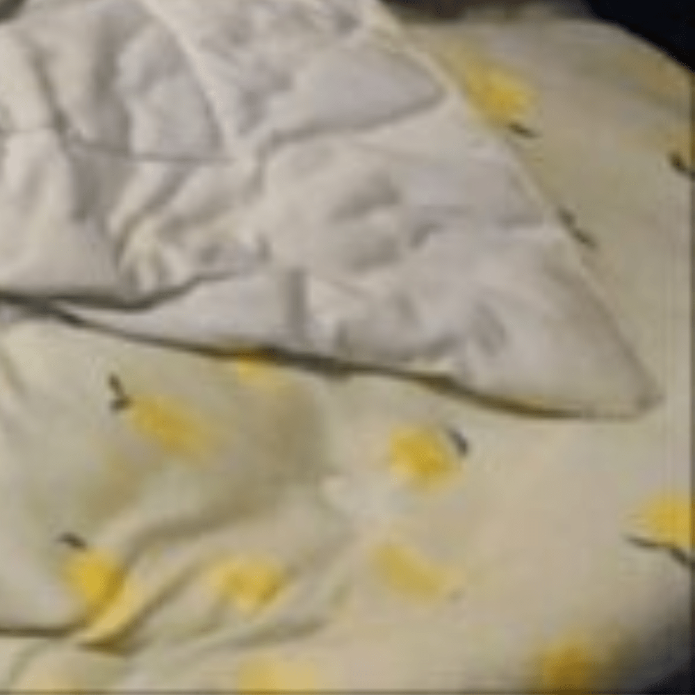 妻「今日寝る場所ないかも」夫「え？」寝室を覗くと、思わず納得する”まさかの光景”に…「きっと大丈夫」「可愛い」「優しい～」