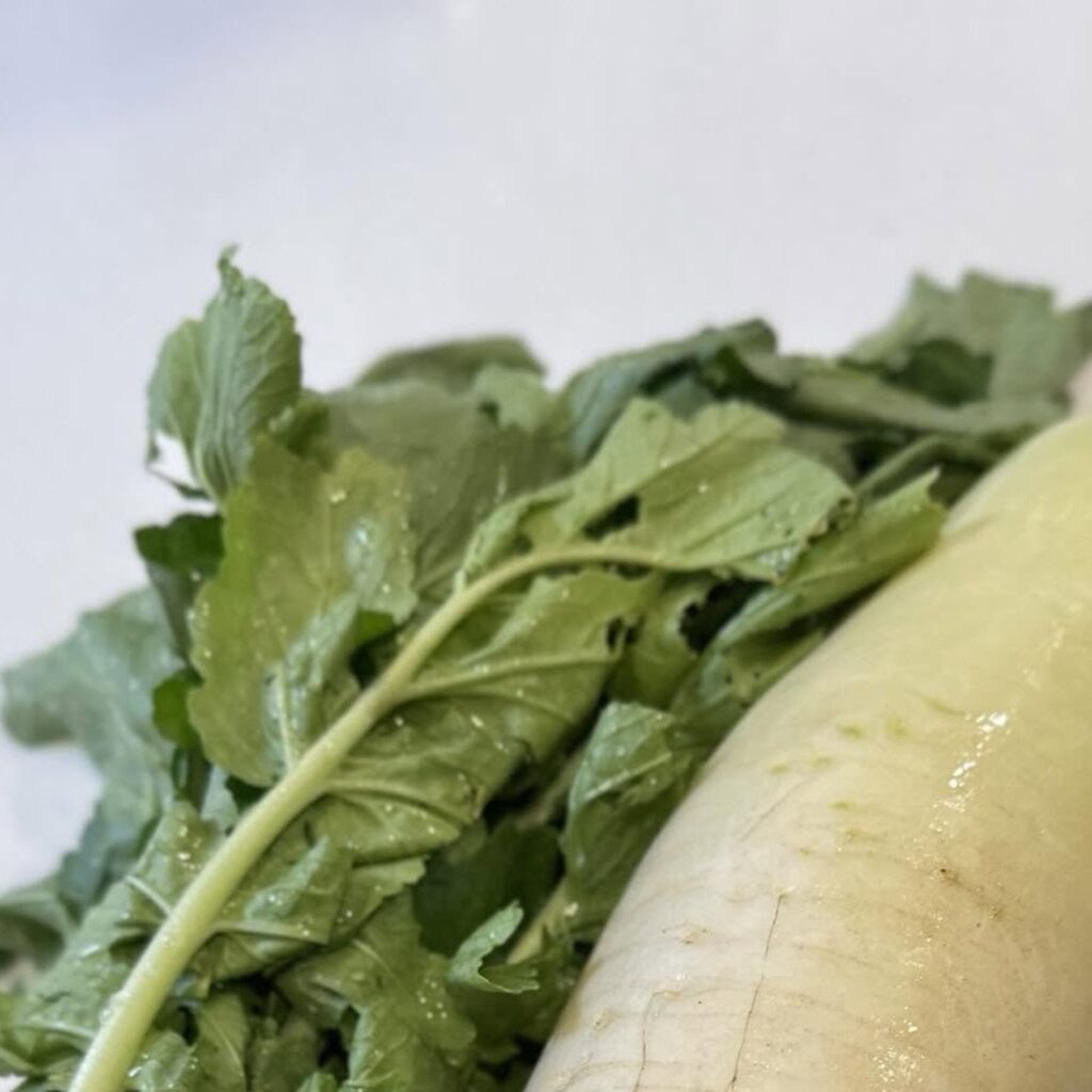 芋掘りだったはずが…（@le.souffle.du.bebeさんより提供）