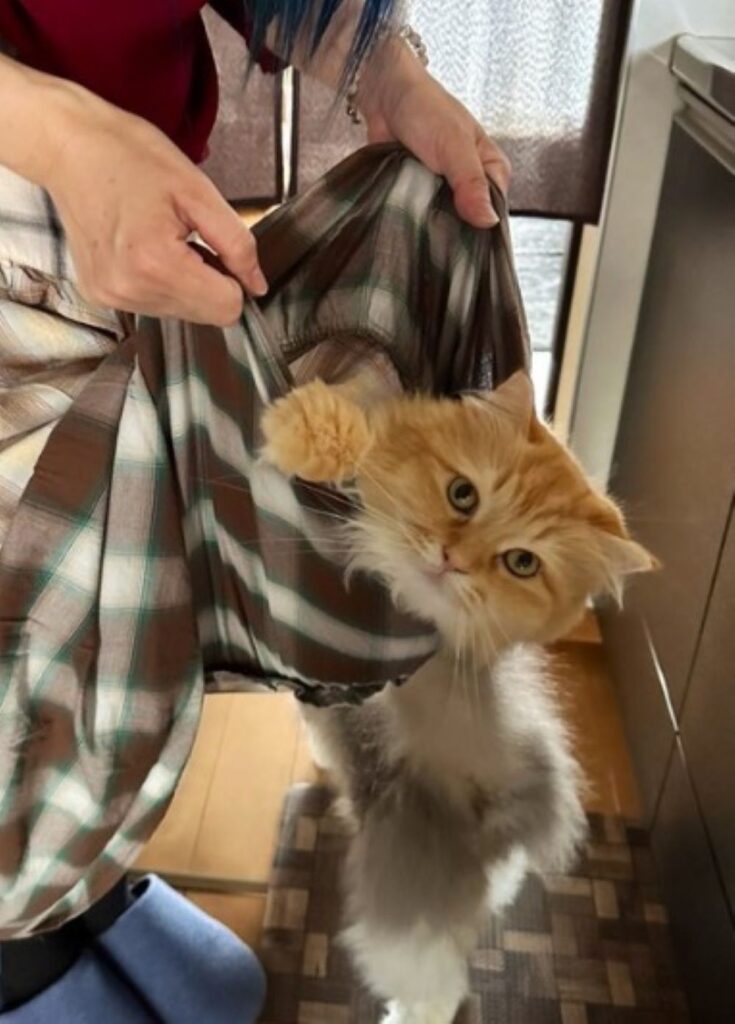 【実際の写真】女性が目にした光景