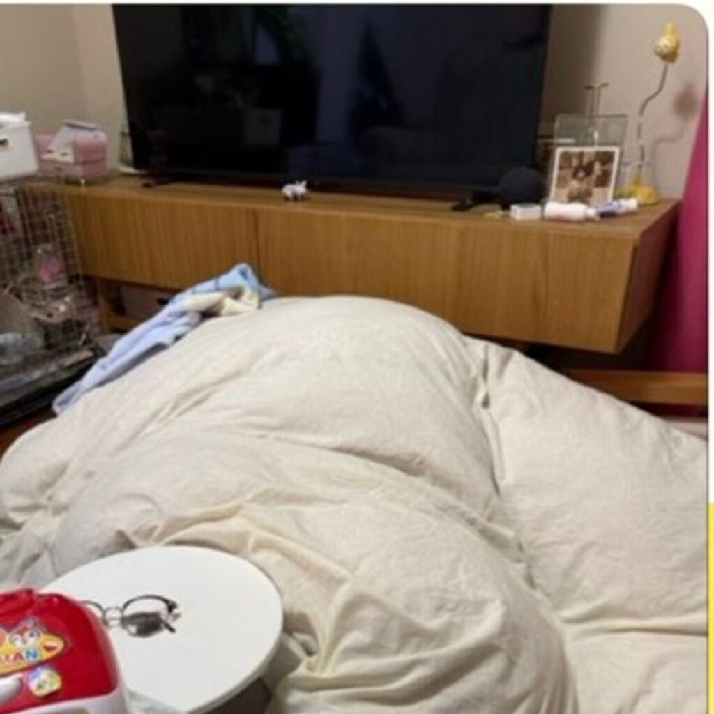 【実際の写真5枚】　ママが見た光景