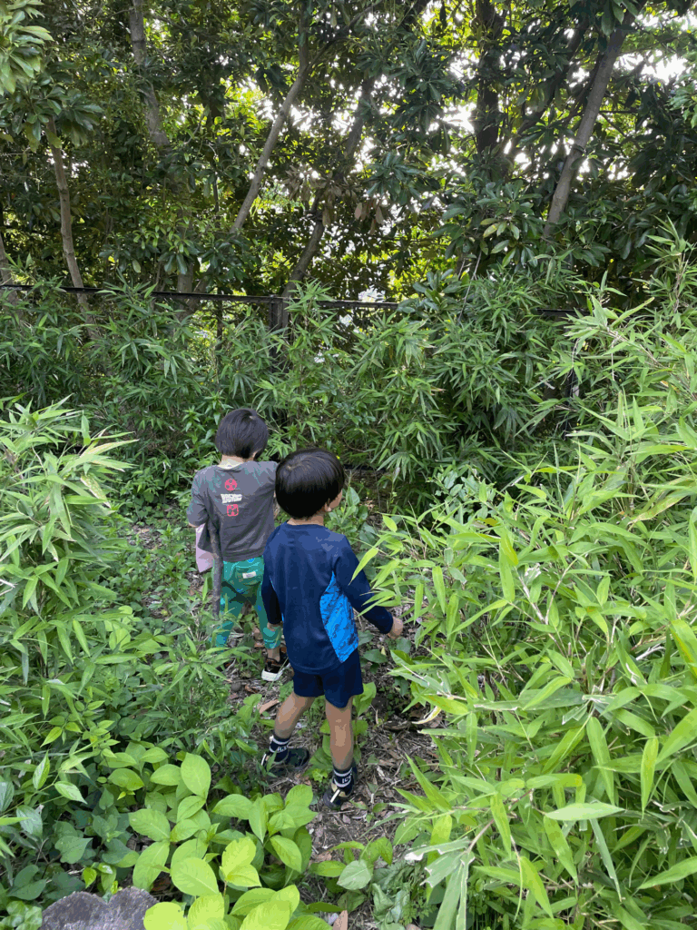 普段の様子（＠nontan2020_さんより提供）