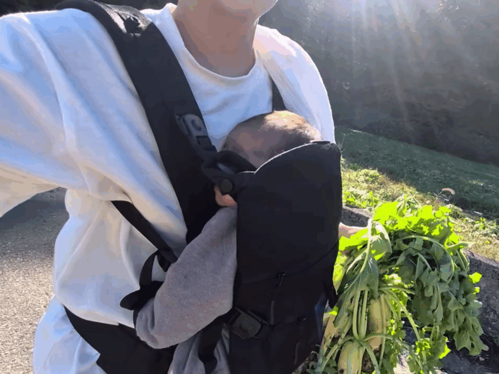 抱っこしてお散歩中（happyst831さんより提供）