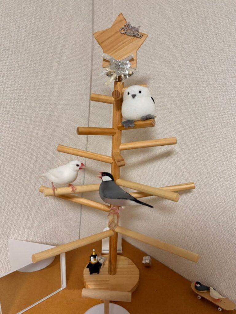 毎日喧嘩が止まらないそう（@pino_bunchoさんより提供）