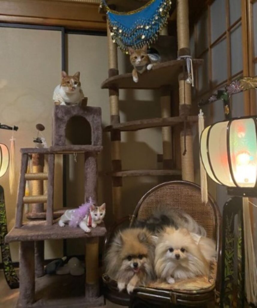 集合写真（＠yapomesaさんより提供）