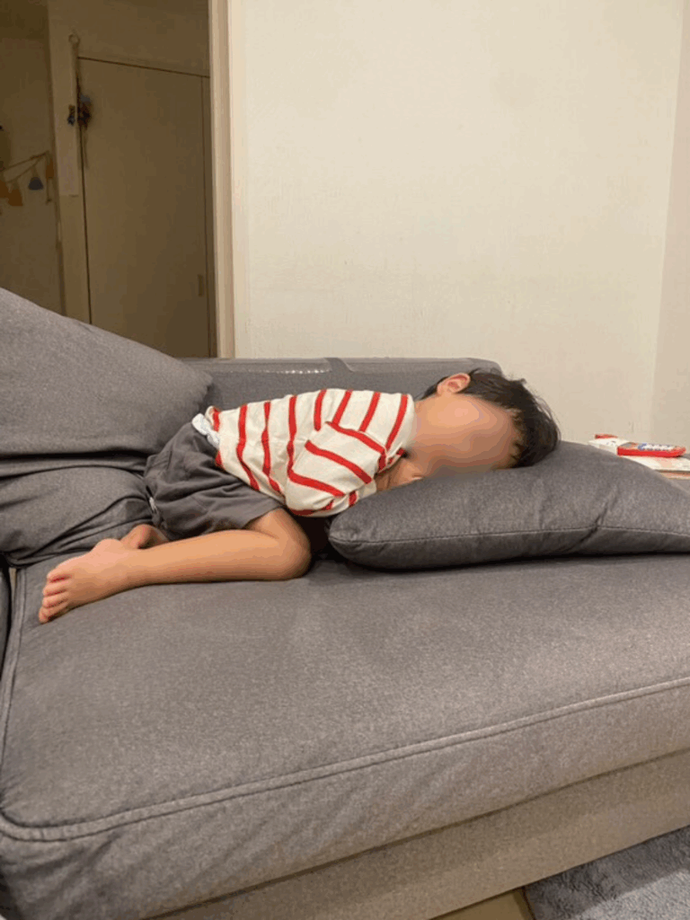 【実際の写真】まさかの光景